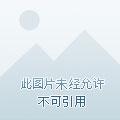 玄师世界里的开挂系统