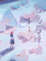 飞鸟与蝉