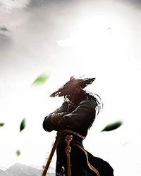 阵侍