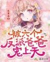 姜柚柚傅霖渊